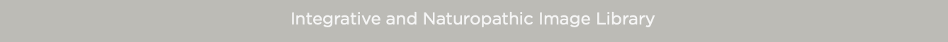 Integrative and Naturopathic Image Library